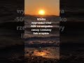 https://www.vinted.pl/member/242681015-gosia20044567778