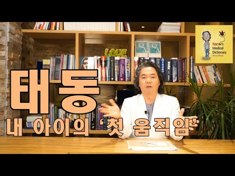 락터의 의학사전(태동! "내 아이의 첫 움직임")