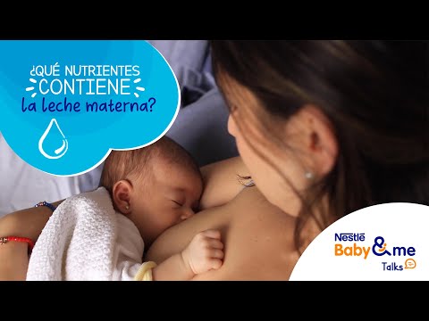 LECHE MATERNA Cuáles Son Los Nutrientes Que Contiene La Leche Materna 