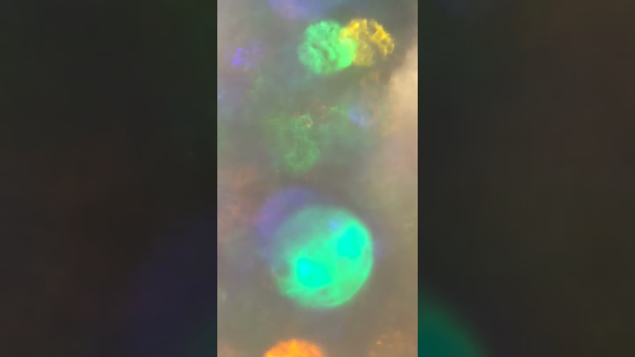 A Dazzling new experience 