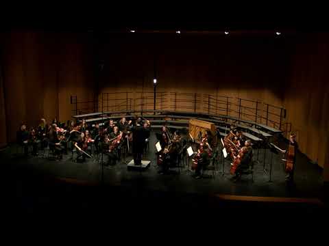 whs-orchestra-concert-december-12,-2019