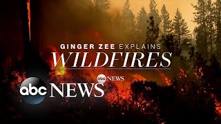Wildfires explained by Ginger Zee