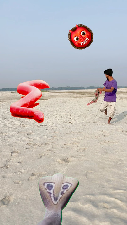 Tam tam sambhu short