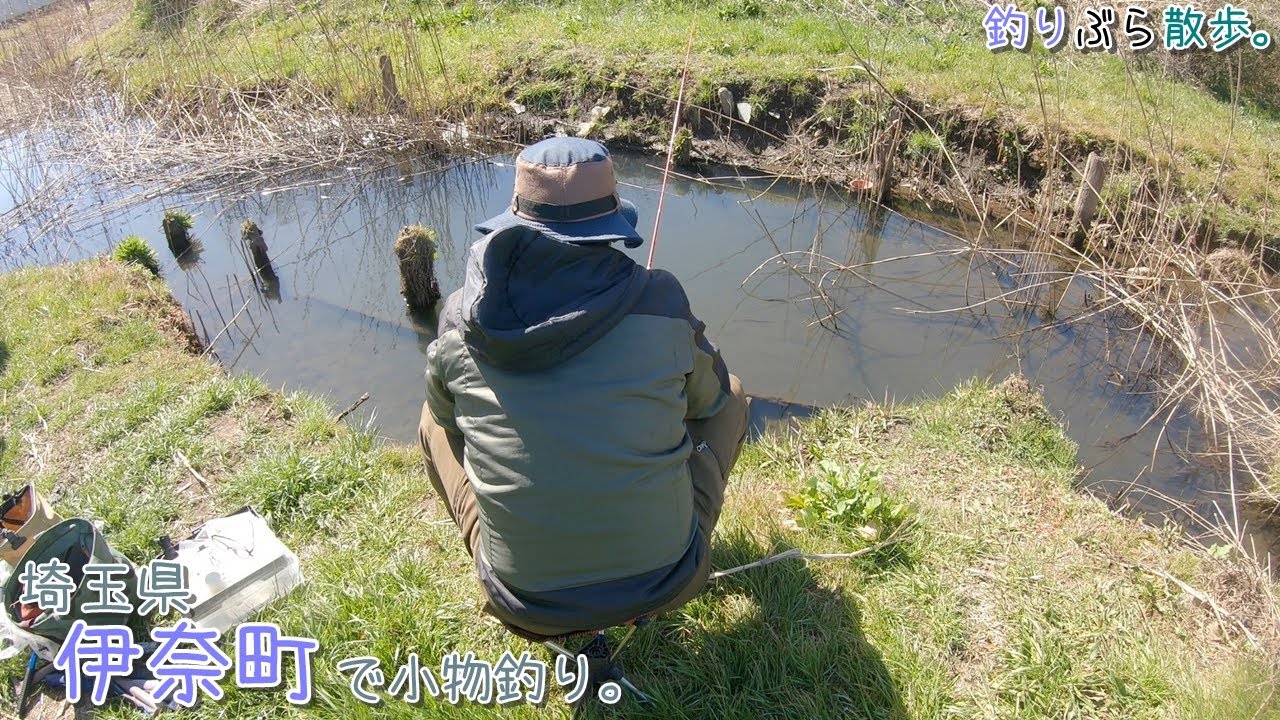 冬のホソが楽しすぎる～♪  小さなホソで寒鮒釣り♪  埼玉県伊奈町で小物釣り。