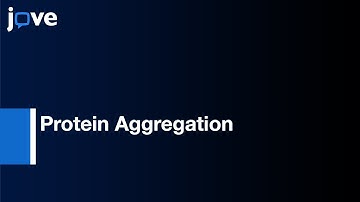 Protein Aggregation Impact on Cellular Oxidative Stress : Evaluation | Protocol Preview