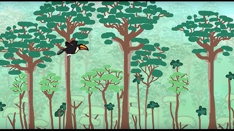 Deforestation Animation