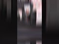 streamception