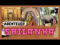 Kandy Zahntempel - Relikte, Rituale &amp; ein Elefant an unserer Seite | Sri Lanka | Thommy Picardillio