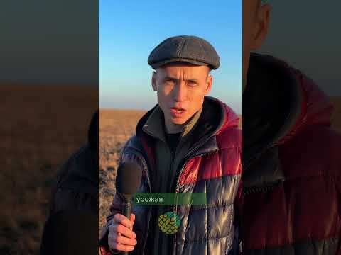 Зябь- новое начало урожайного года