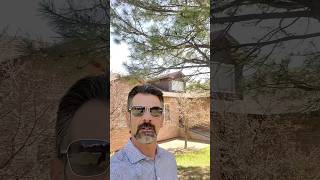 Immaculate Woodmoor Colorado Home for sale
