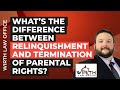 What’s the Difference Between Relinquishment and Termination of Parental Rights?