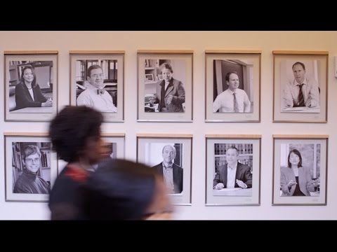 Harvard Law School's faculty portraits: a backdrop for daily life at HLS