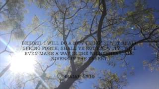 HalleluYah Isaiah 43:19 "MIRACLES" Meditation Prayer (7 Day Scripture Challenge - DAY #1)