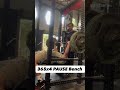 365lbs x 4 reps PAUSED bench 100% RAW #benchpress #powerlifting