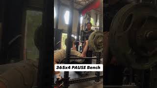 365lbs x 4 reps PAUSED bench 100% RAW #benchpress #powerlifting