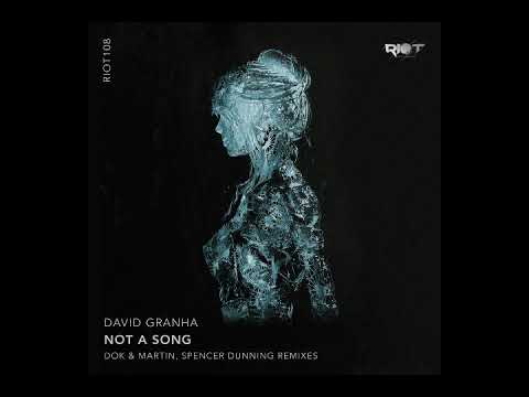 RIOT108 - David Granha - Not A Song (Dok & Martin Remix)  [Riot]