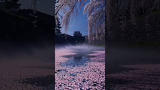 Magical Spring in Japan ✨ #Sakura#Landscape #BeautifulNature#Healing
