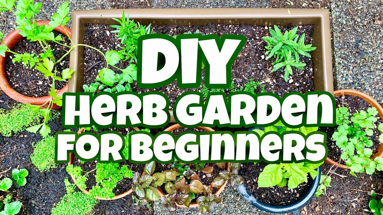 Diy Herb Garden Withme, How To Start A Herb Garden For Beginners