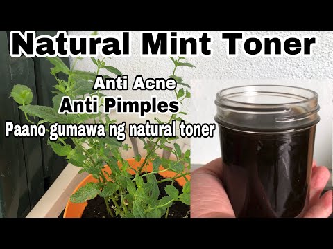 Mint Toner |Natural Mint Toner|Anti Acne|Anti Pimples|Paano Gumawa ng Natural Toner-Natural Toner