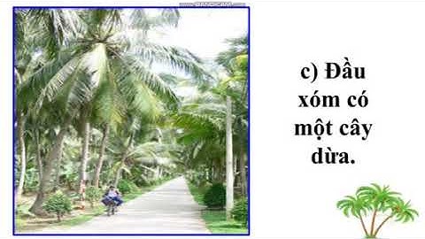 Khối 4 Tuần 25 TLV Luyện tập xây dựng mở bài trong bài văn miêu tả cây cối