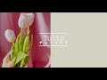 Tulip -Today's Flower-                               ⚫︎Feb.16. 2022⚫︎