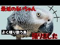 やっぱり歌うことが好き♪