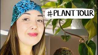 PLANT ENTHUSIAST / INDOOR PLANTS COLLECTION  / HOUSE PLANT TOUR / STAY HOME WITH ME