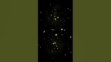 GIFT for YOU | Firefly | Free Clip | FREE to USE | FREE for USE | Fireflies #fyp #short #shorts