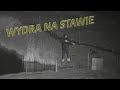 Wydra w stawie - Jak pozbyłem się szkodnika