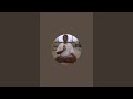 YOGA YUVA KENDRA: YOGA WITH PARTHA - VAJRASANA &amp; PAVANA MUKTHASANA VARIATIONS