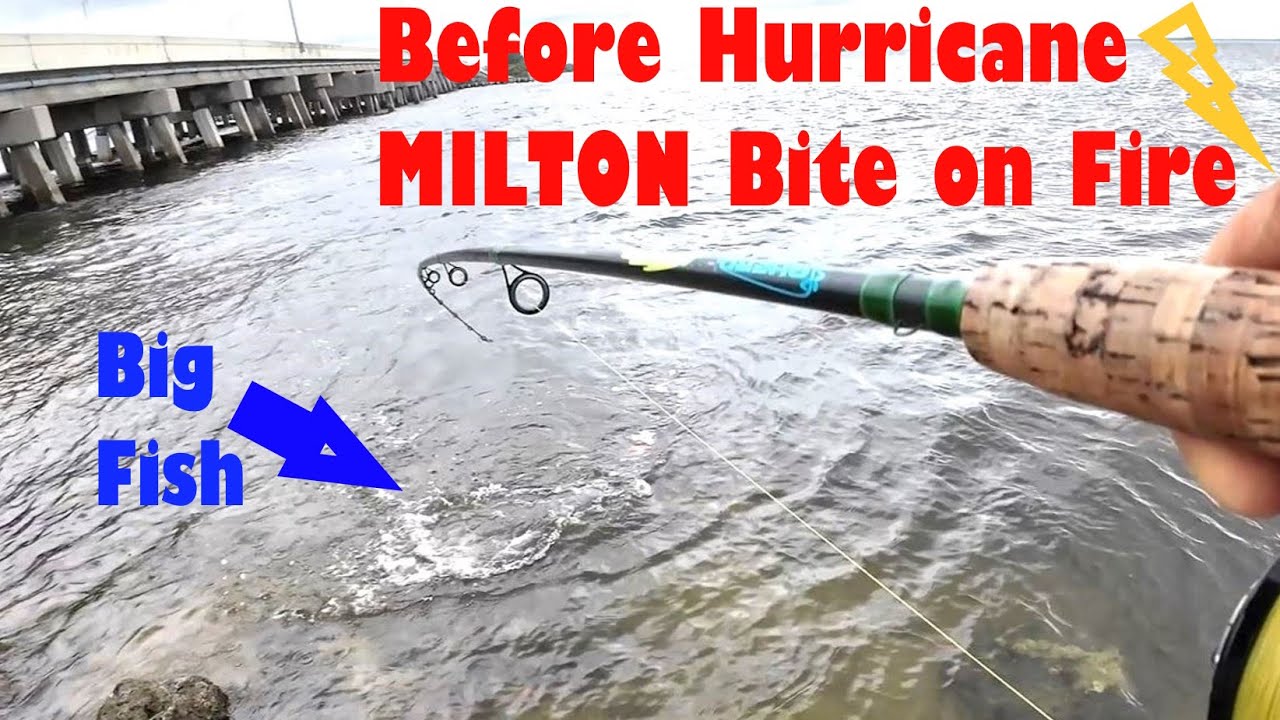 Fishing Before Hurricane Milton!! (Bite was ON Fire)