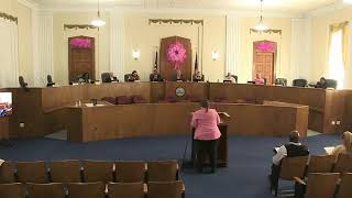 03.21.2023 Macon-Bibb Public Hearing & Pre-Commission Meeting