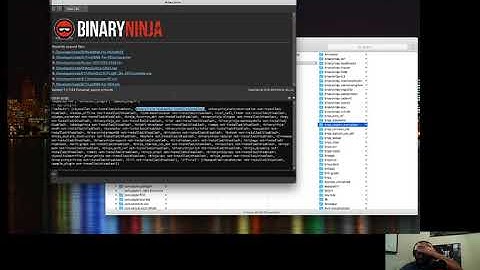 Binary Ninja Budo - Making the Sausage