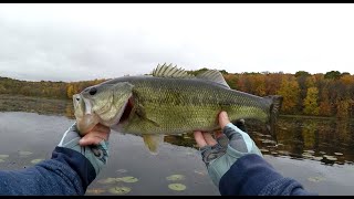 My first glide bait fish 