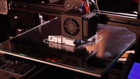 Flexi-rex timelapse on Ender 3