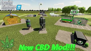 Grow Weed Everyday! | How To Use The Cannabis Mod! | #fs22 | #farmingsimulator22 | #cjfarms screenshot 5