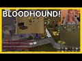 Bloodhound megan  osrs highlights