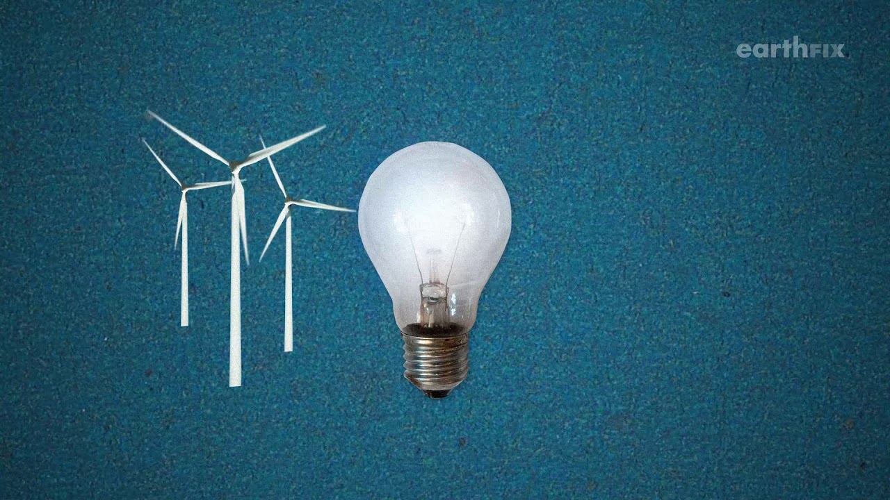 Homework Hotline: Salmon v.s. Dams