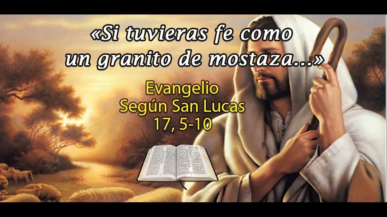 EVANGELIO DE HOY SI TUVIERAS FE DEL TAMAÑO DE UN