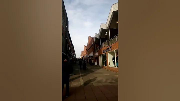 Bystander Uses His 'Bag of Cans' to Stop Suspect Fleeing Police