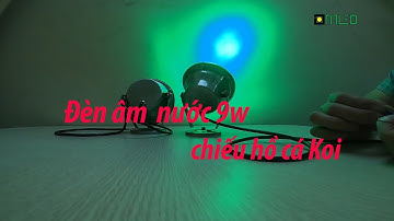 Đèn âm nước 9W - Hướng dẫn lắp đặt cho hồ cá Koi