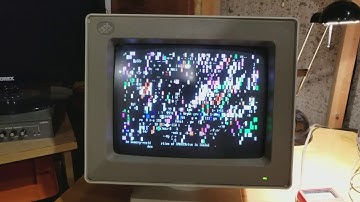 My IBM PS/1 has random characters all over the display