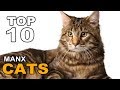 TOP 10 MANX CATS BREEDS の動画、YouTube動画。