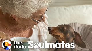 84-Year-Old Lady Is Best Friends With This Pup | The Dodo Soulmates