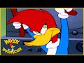 Woody Woodpecker Show | Getting Comfortable | Full Episode | Videos For Kids