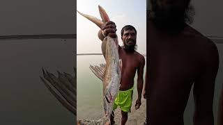 Download Lagu Big Fish Catching Video From River #bigfish #catfish MP3