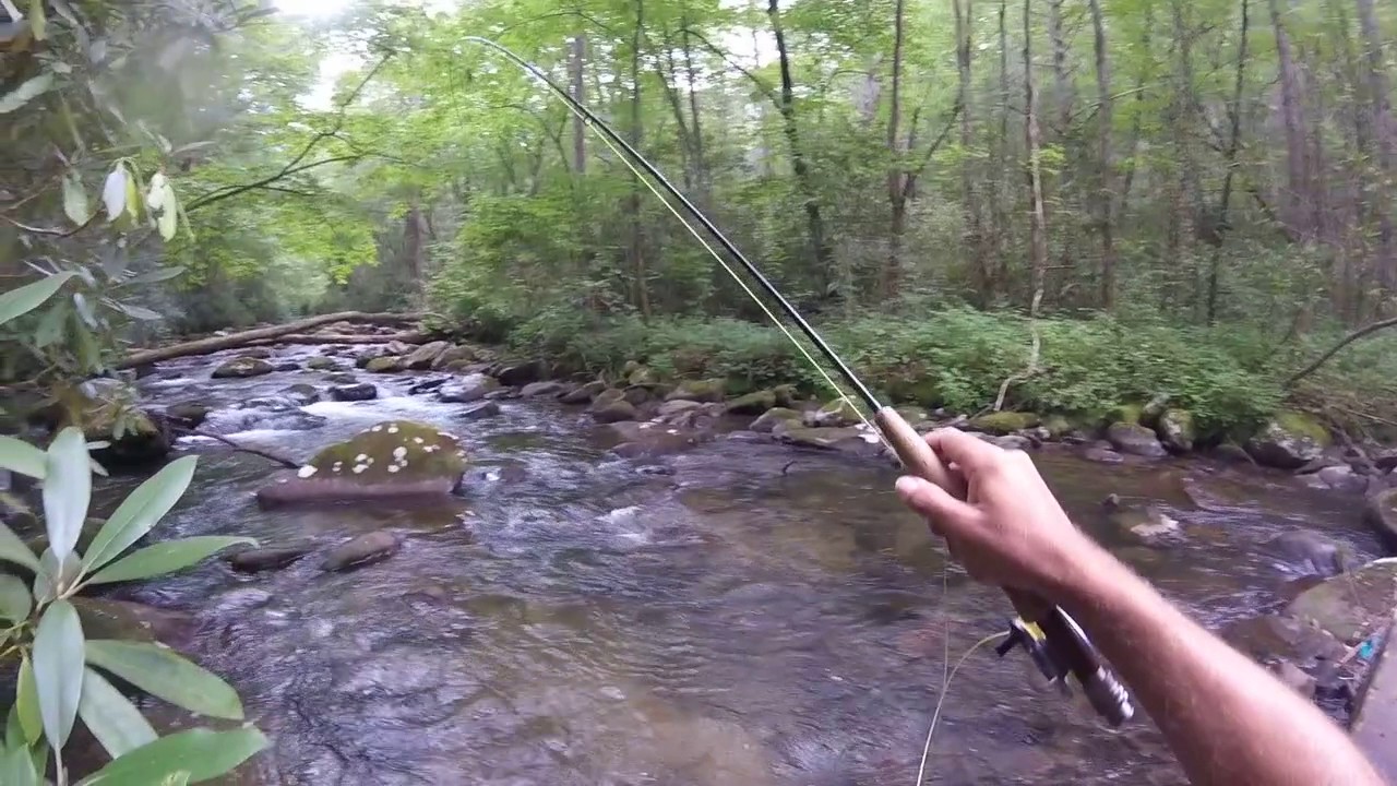 Tellico River Fishing (Big Rainbow)722017 YouTube