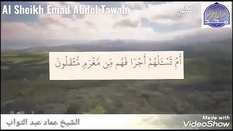 سوره القلم بصوت القارئ الشيخ عماد عبد التواب