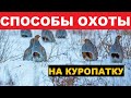 🌲 🌳ЭФФЕКТИВНЫЕ СПОСОБЫ ОХОТЫ НА КУРОПАТКУ!