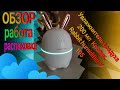 💦Увлажнитель воздуха 200 мл  Кролик. Rabbit humidifier Y 105. ОБЗОР👁️, РАСПАКОВКА👏, РАБОТА💨